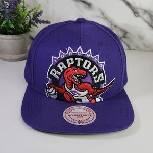 Raptors Hat. XL Logo. Mitchell & Ness Purple and Green Cap. Adjustable